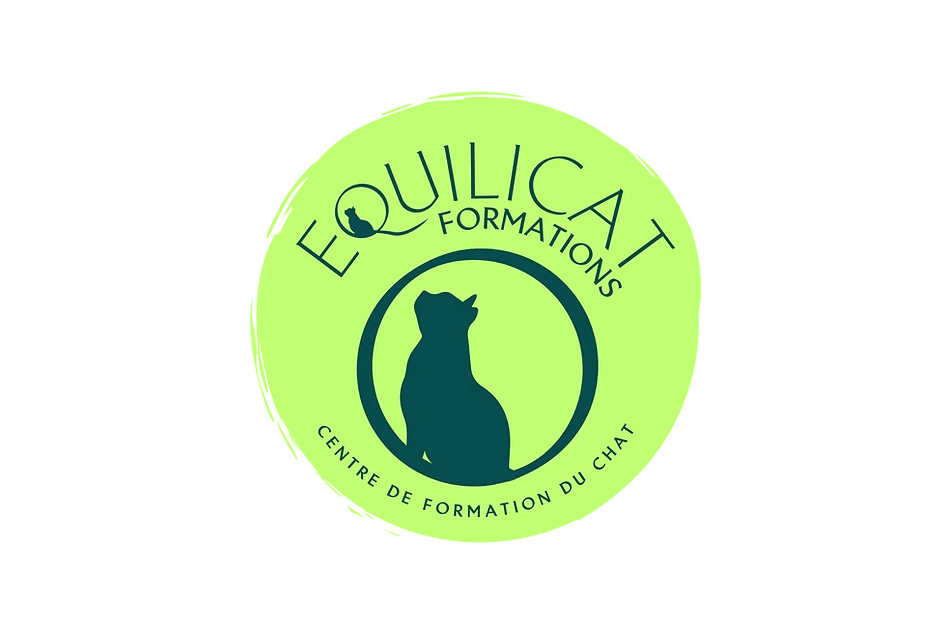 Logo Equilicat, en référence aux formations suivies en cat-sitting et sur les chats gériatriques.