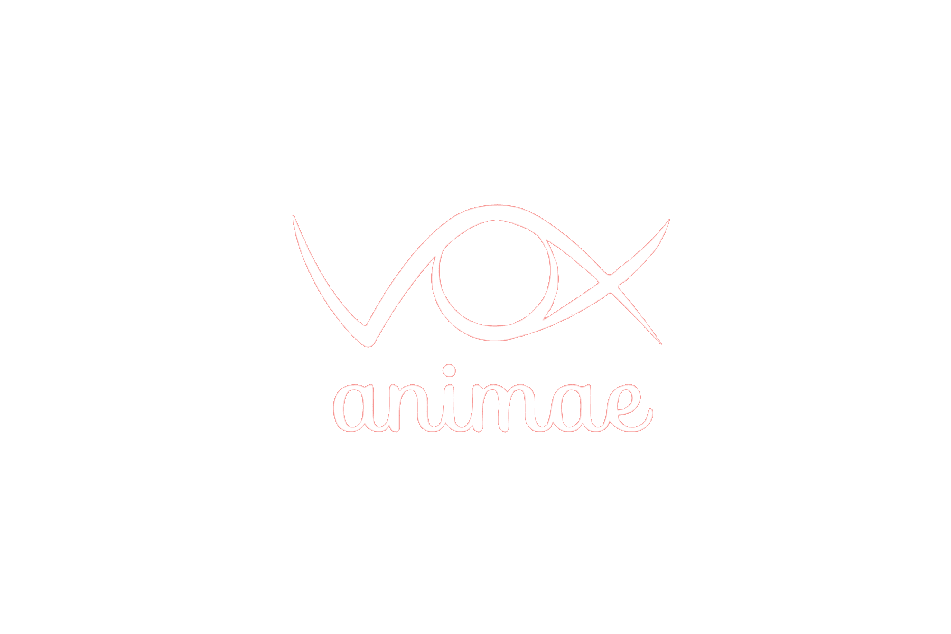 Logo Vox Animae, en référence aux formations suivies en pratiques éthologiques et bienveillantes pour le bien-être animal.